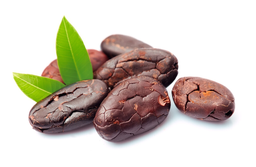 cocoa beans with leaves